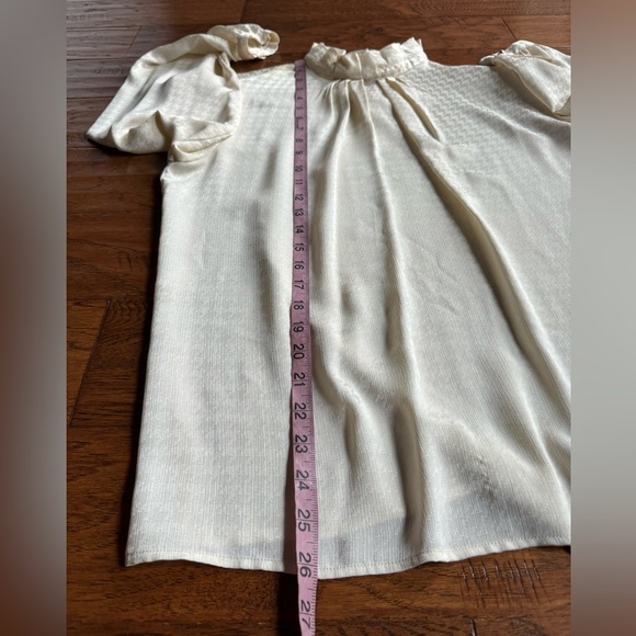 Chaus Vintage Sheer ‎ Blouse - Picture 14 of 14